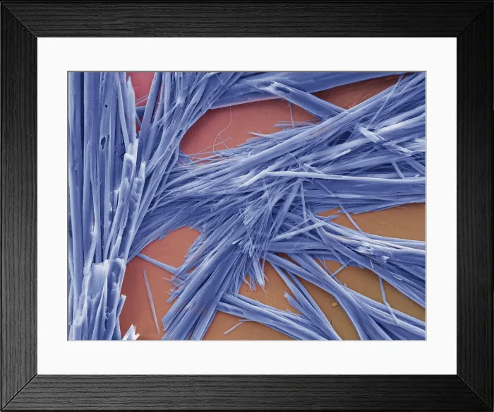 Framed Print : Caffeine Crystals, under a microscope (SEM) Framed Print : Caffeine Crystals, under a microscope (SEM)