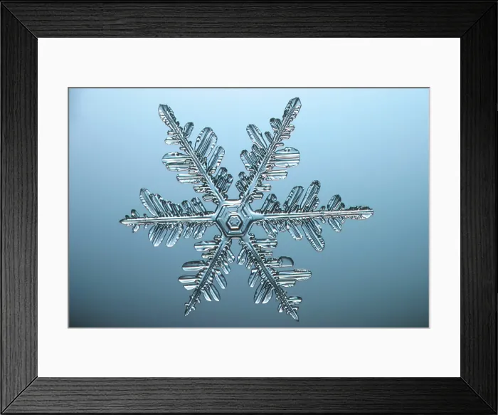 Framed Print : Snowflake. A snowflake or a snow crystal Framed Print : Snowflake. A snowflake or a snow crystal