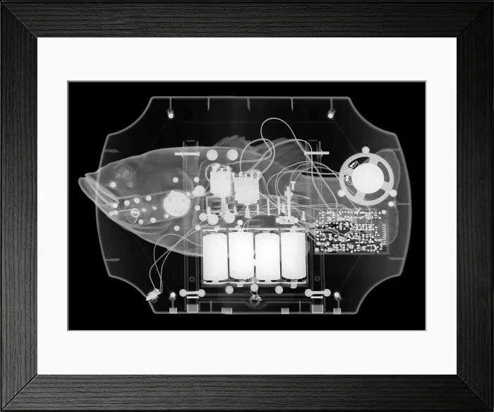 Framed Print : X-ray of mechanical Fish