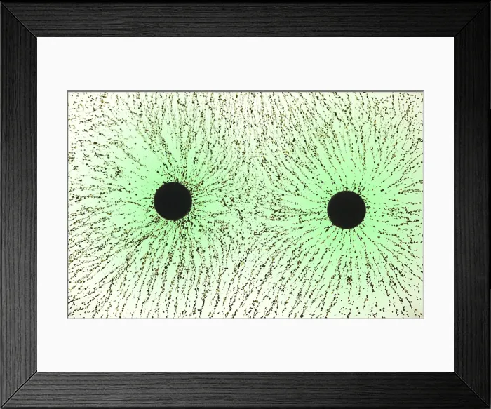 Framed Print : Electric Field Lines Framed Print : Electric Field Lines