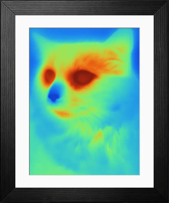 Framed Print : Thermogram of a cat Framed Print : Thermogram of a cat