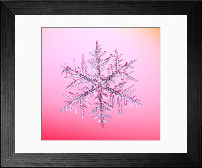 Framed Print : Snowflake with a stellar (or dendritic) crystal form Framed Print : Snowflake with a stellar (or dendritic) crystal form