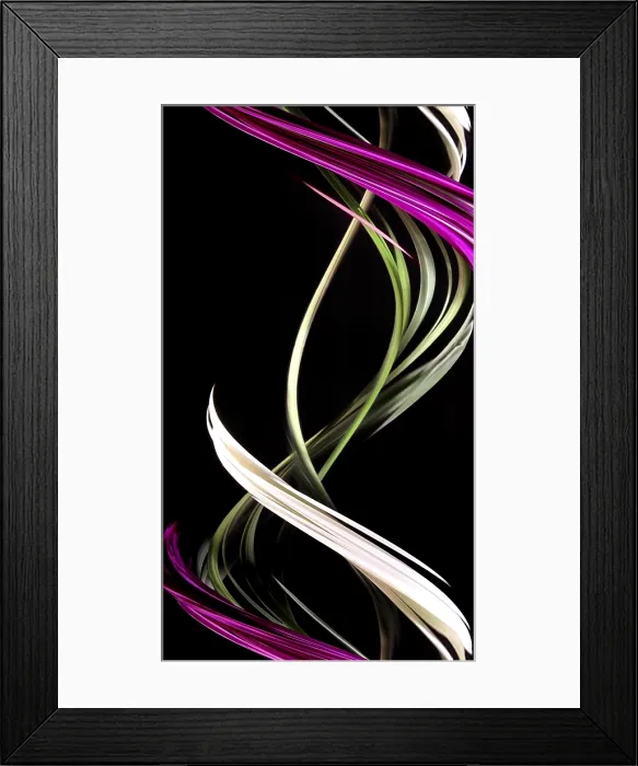 Framed Print : Flowers, Digital Streak Image Framed Print : Flowers, Digital Streak Image