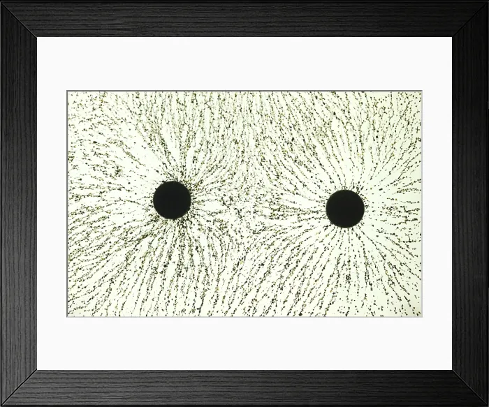Framed Print : Electric Field Lines Framed Print : Electric Field Lines