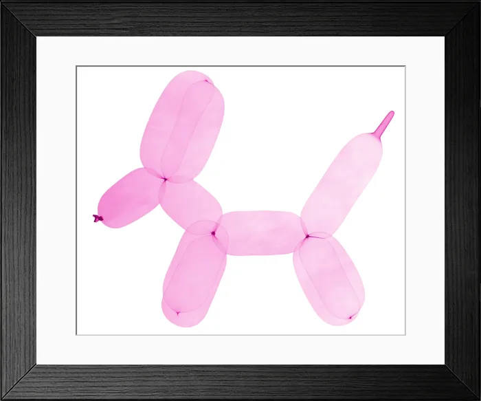 Framed Print : X-Ray of Balloon Dog Framed Print : X-Ray of Balloon Dog