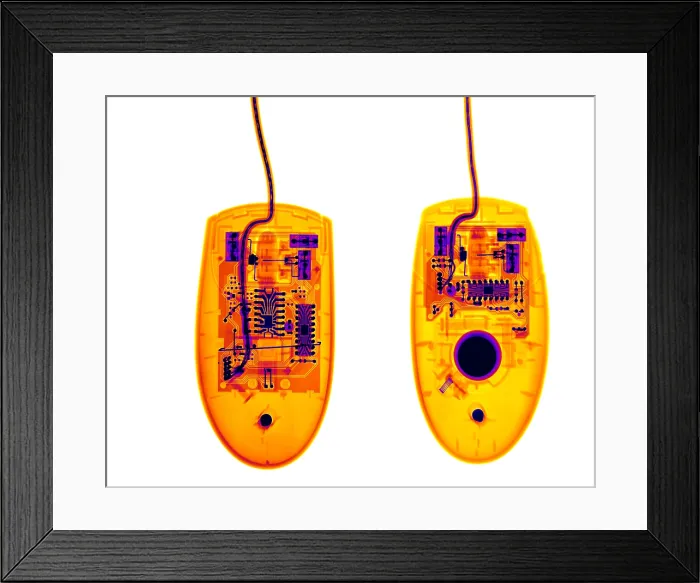 Framed Print : Computer Mouses Framed Print : Computer Mouses