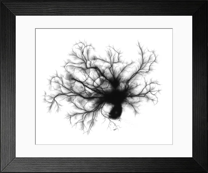 Framed Print : Electric Spark Framed Print : Electric Spark