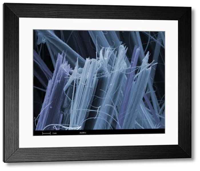 Framed Print : Asbestos, under a microscope (SEM) Framed Print : Asbestos, under a microscope (SEM)