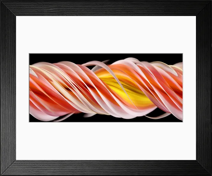 Framed Print : Slit-Scan Image of Dahlia Flower Framed Print : Slit-Scan Image of Dahlia Flower