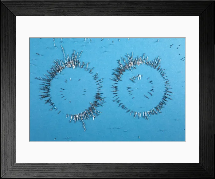 Framed Print : RIng Magnets with Iron Filings
