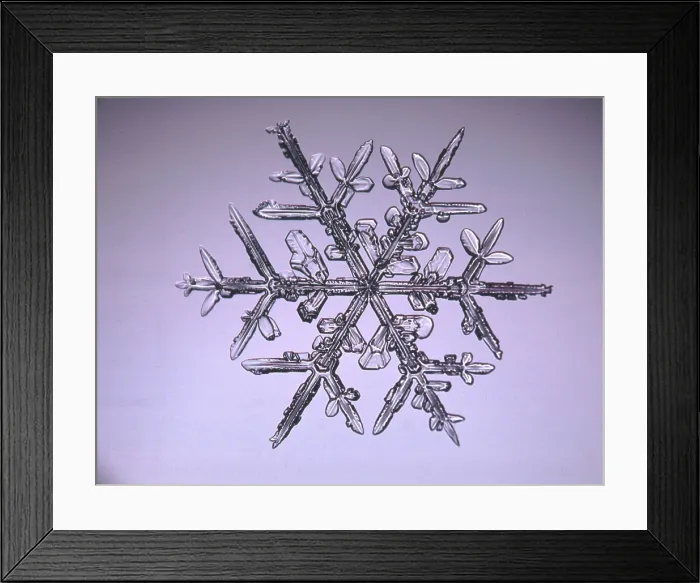 Framed Print : Snowflake. A snowflake or a snow crystal