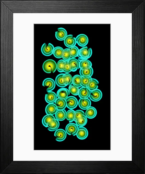 Framed Print : X-Ray of Pasta Framed Print : X-Ray of Pasta