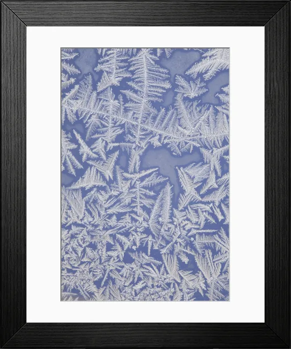Framed Print : Frost on a Window Framed Print : Frost on a Window