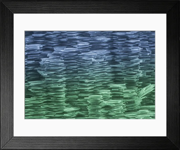 Framed Print : Abalone Shell, under a microscope (SEM) Framed Print : Abalone Shell, under a microscope (SEM)