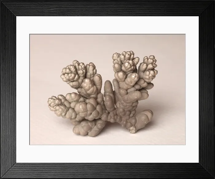 Framed Print : Chromium. Dendritic crystal of pure Chromium Framed Print : Chromium. Dendritic crystal of pure Chromium