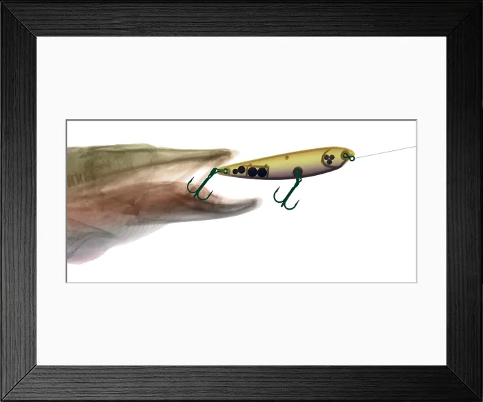 Framed Print : X-ray of Muskie & Lure Framed Print : X-ray of Muskie & Lure