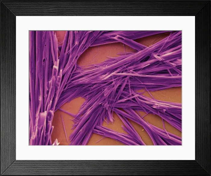 Framed Print : Caffeine Crystals, under a microscope (SEM) Framed Print : Caffeine Crystals, under a microscope (SEM)