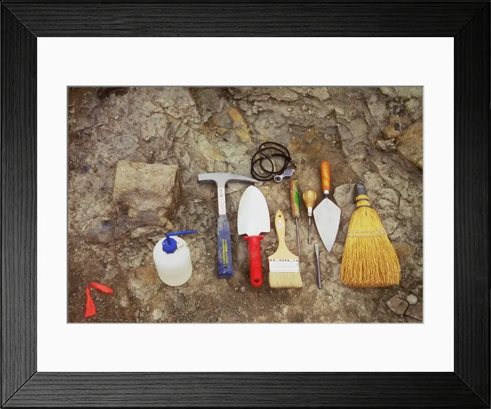 Framed Print : Tools used to excavate dinosaur fossils