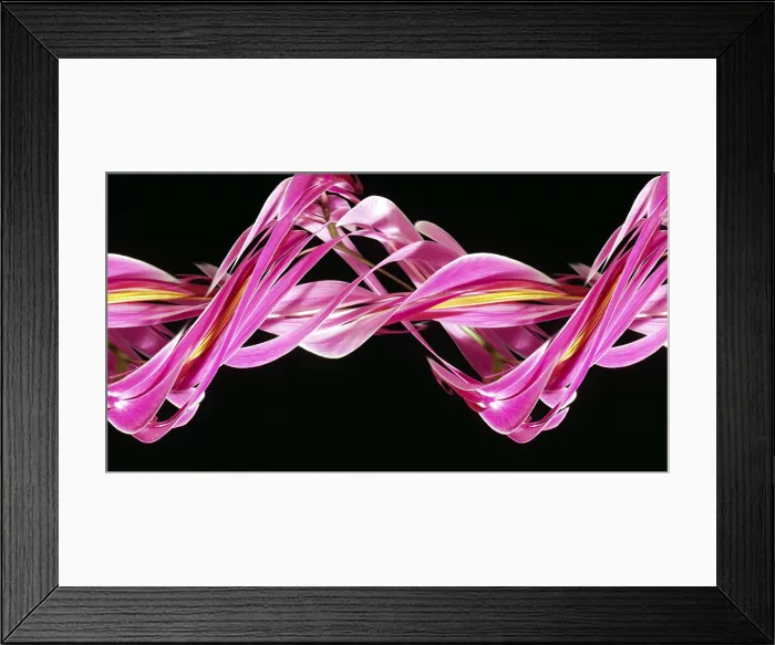 Framed Print : Digital streak image of an orchid