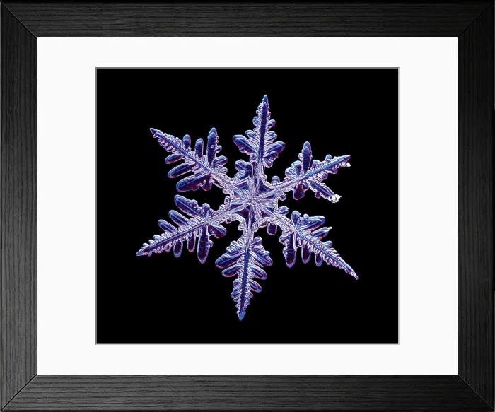 Framed Print : Snowflake with a stellar (or dendritic) crystal form Framed Print : Snowflake with a stellar (or dendritic) crystal form