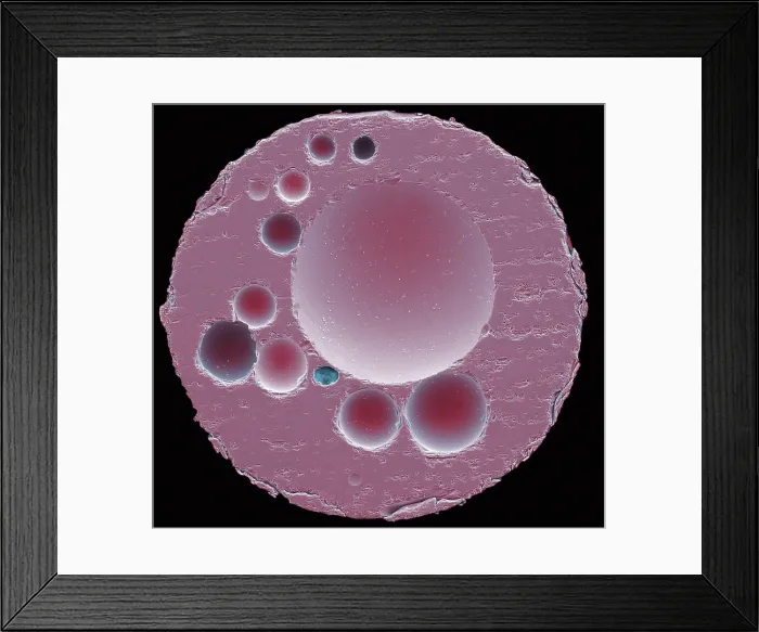 Framed Print : Micrometeorite Structure SEM Framed Print : Micrometeorite Structure SEM