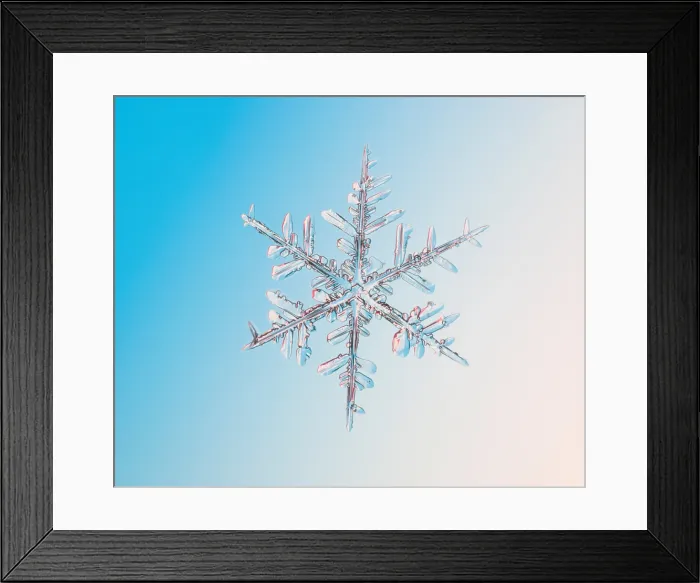 Framed Print : Snowflake with a stellar (or dendritic) crystal form Framed Print : Snowflake with a stellar (or dendritic) crystal form