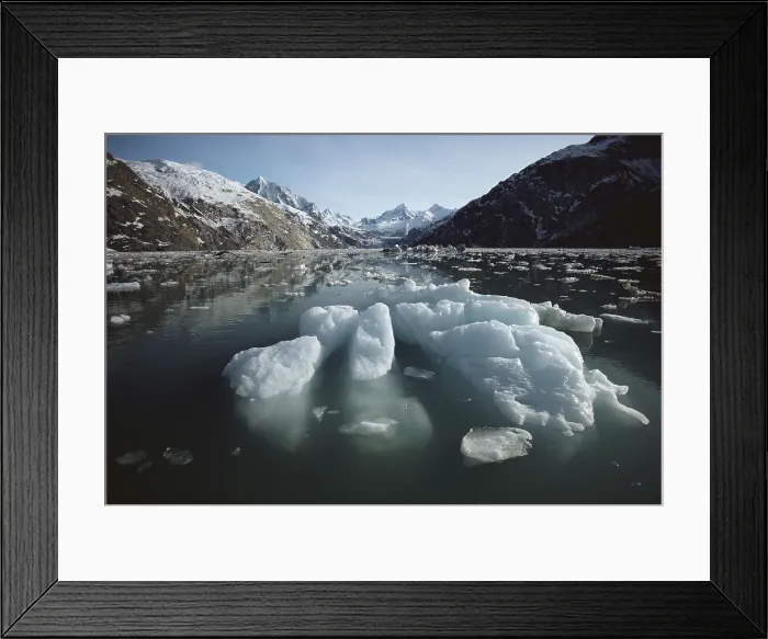 Framed Print : Glacier Bay National Park Framed Print : Glacier Bay National Park