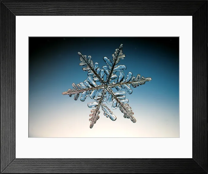Framed Print : Snowflake. A snowflake or a snow crystal Framed Print : Snowflake. A snowflake or a snow crystal