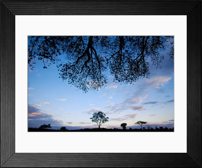 Framed Print : Tarangire National Park, Tanzania