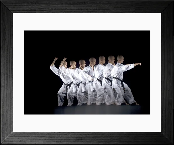 Framed Print : Karate Expert Framed Print : Karate Expert