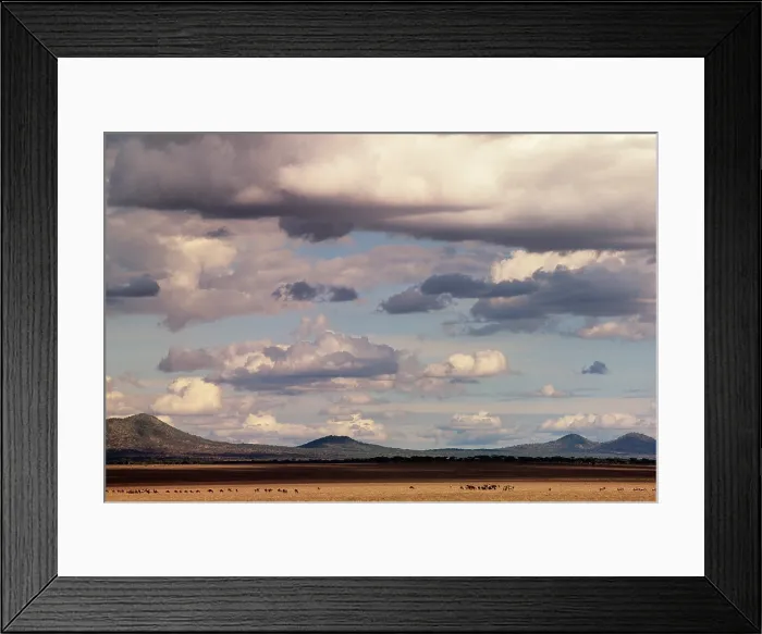 Framed Print : Tarangire National Park, Tanzania Framed Print : Tarangire National Park, Tanzania