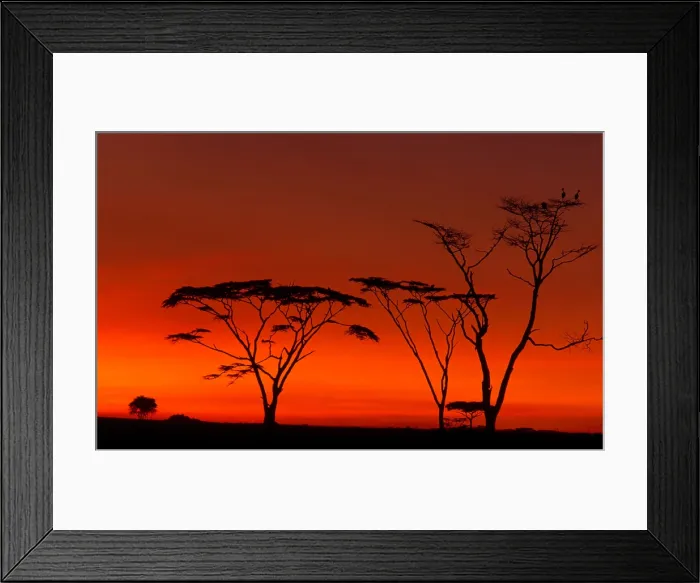 Framed Print : Serengeti National Park Framed Print : Serengeti National Park