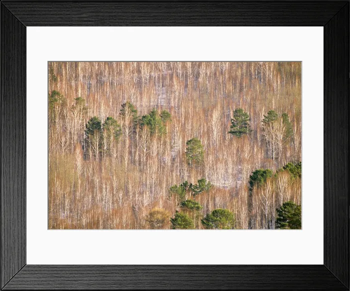Framed Print : Siberia, Lake Baykal Region Framed Print : Siberia, Lake Baykal Region