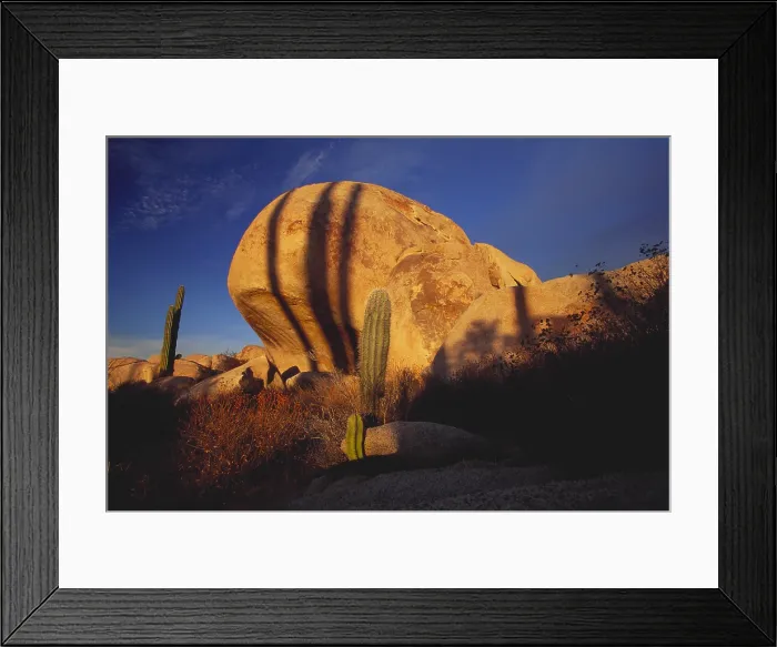 Framed Print : Rock Formation & Cardon Cactus Framed Print : Rock Formation & Cardon Cactus