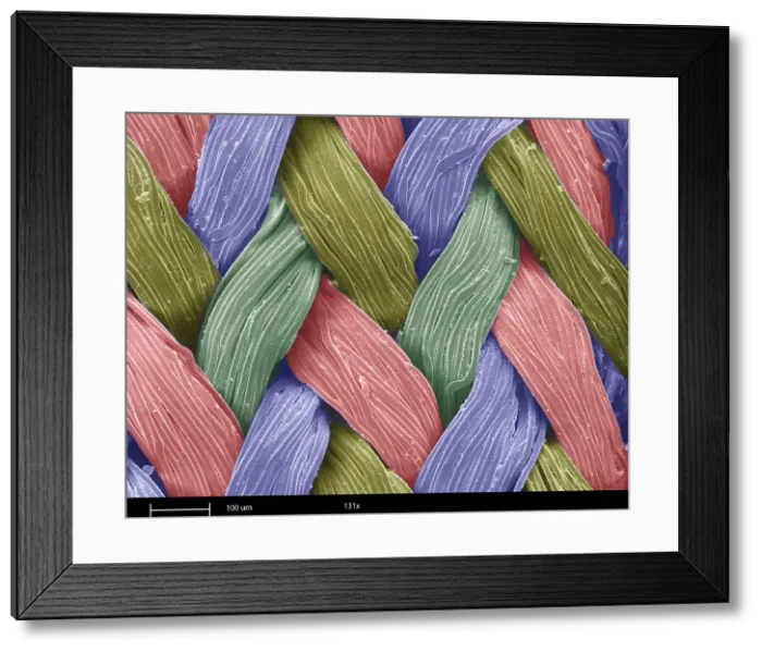Framed Print : SEM, Fastskin Fabric Framed Print : SEM, Fastskin Fabric