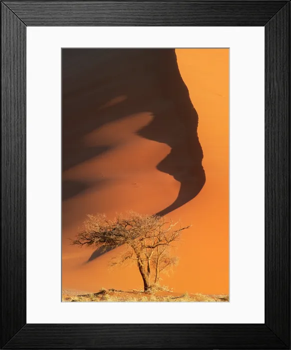 Framed Print : Sand dunes, Namibia Framed Print : Sand dunes, Namibia