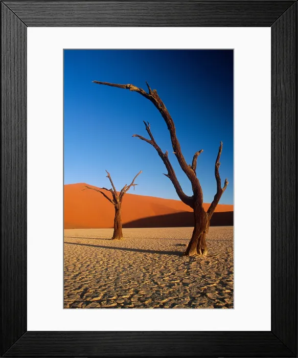 Framed Print : Sand dunes, Namibia
