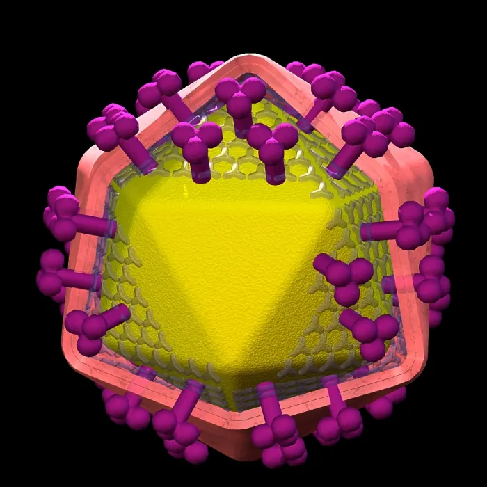 Framed Print : HIV. 3D computer graphic of HIV, the AIDS virus Framed Print : HIV. 3D computer graphic of HIV, the AIDS virus