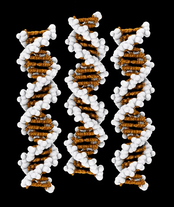 Framed Print : 3D DNA Molecule