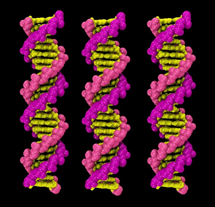 Framed Print : 3D DNA Molecule Framed Print : 3D DNA Molecule