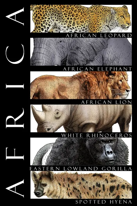 Framed Print : African Animals, Poster Framed Print : African Animals, Poster
