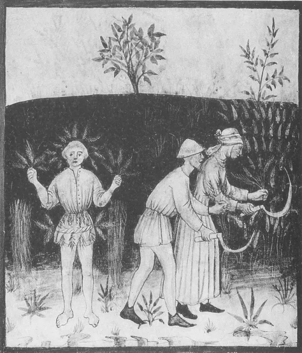 Framed Print : Agriculture-1400s Framed Print : Agriculture-1400s