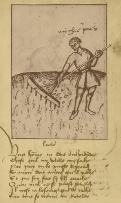 Framed Print : Agriculture, 15th Century Framed Print : Agriculture, 15th Century