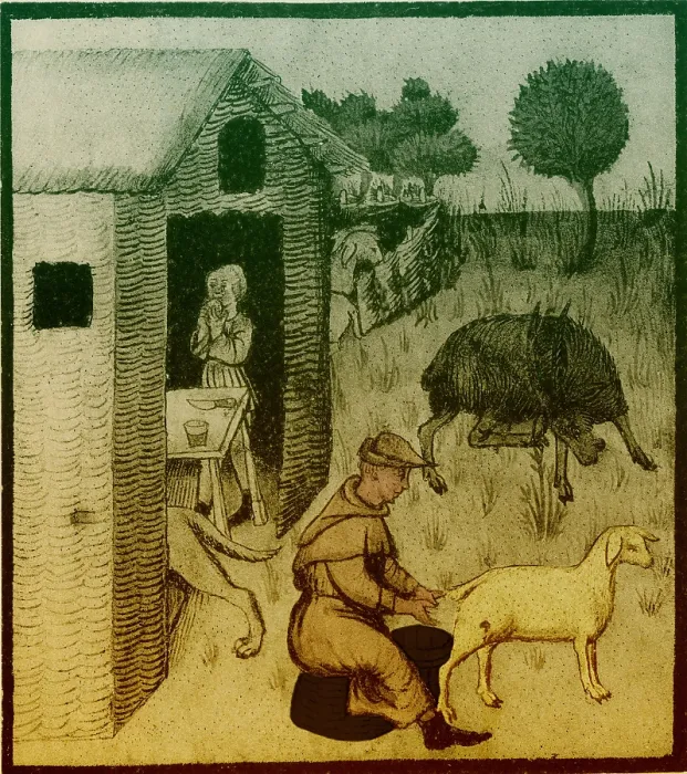 Framed Print : Agriculture, Medieval Farming Framed Print : Agriculture, Medieval Farming