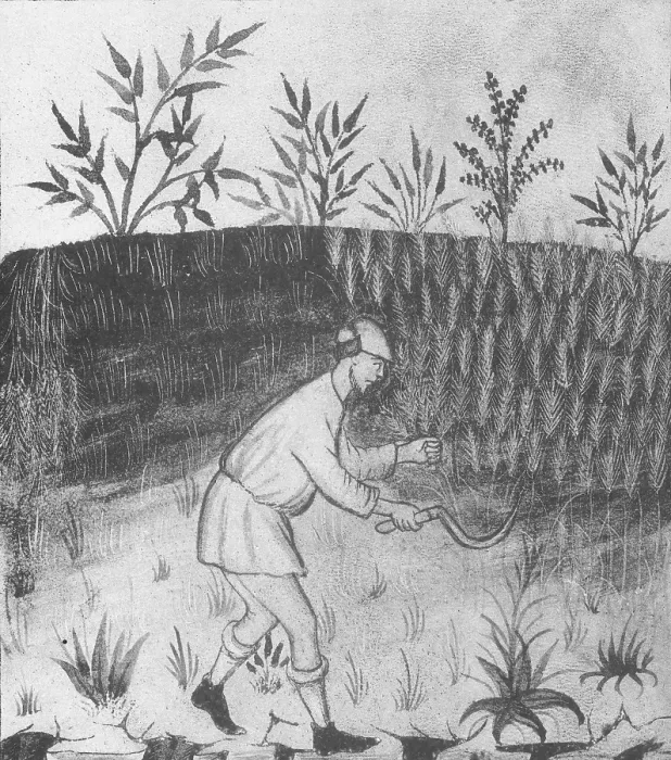 Framed Print : Agriculture, Medieval Farming