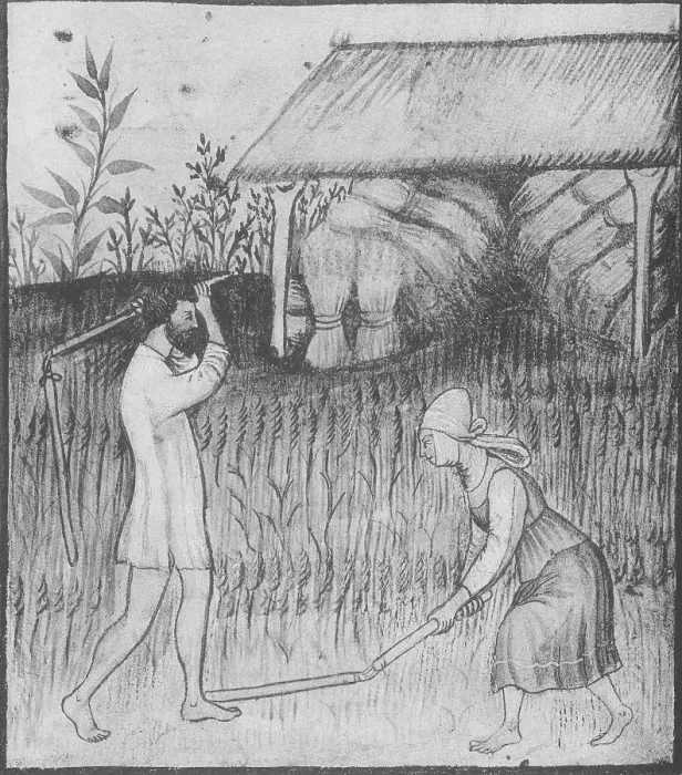 Framed Print : Agriculture, Medieval Farming Framed Print : Agriculture, Medieval Farming