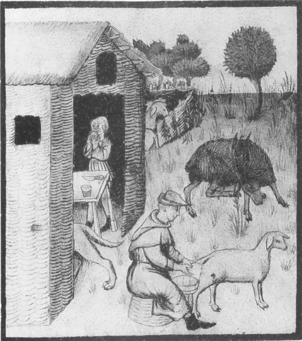 Framed Print : Agriculture, Medieval Farming Framed Print : Agriculture, Medieval Farming