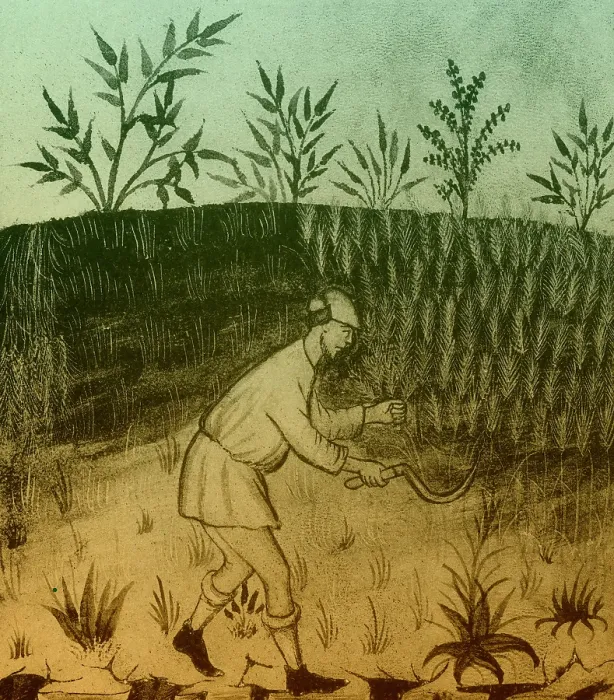 Framed Print : Agriculture, Medieval Farming