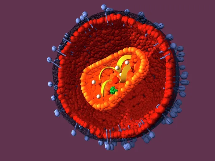 Framed Print : AIDS virus, artwork Framed Print : AIDS virus, artwork