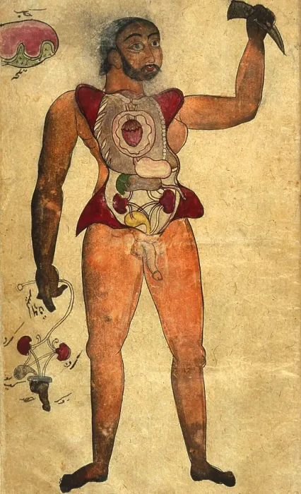 Framed Print : Akbar's Medicine, Persian Anatomical Man Framed Print : Akbar's Medicine, Persian Anatomical Man